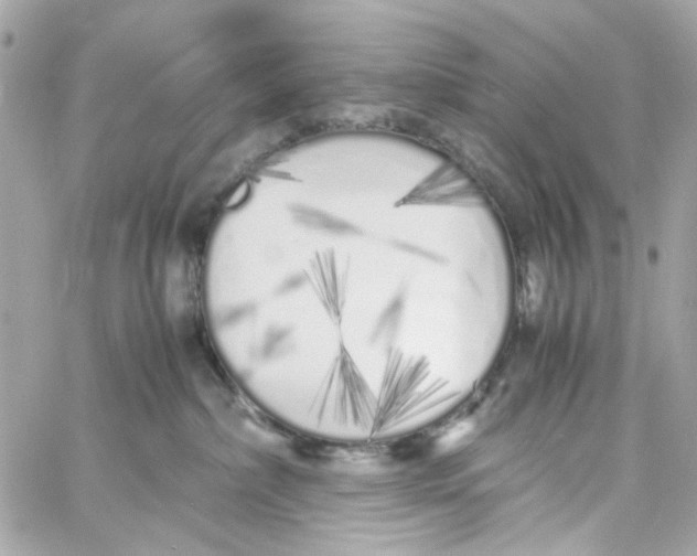 X0000059050236200511041710