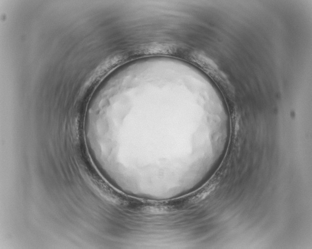 X0000059050250200511041710