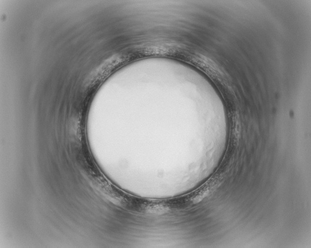 X0000059050258200511041710