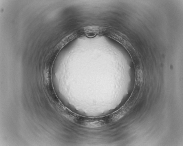 X0000059050267200511041710