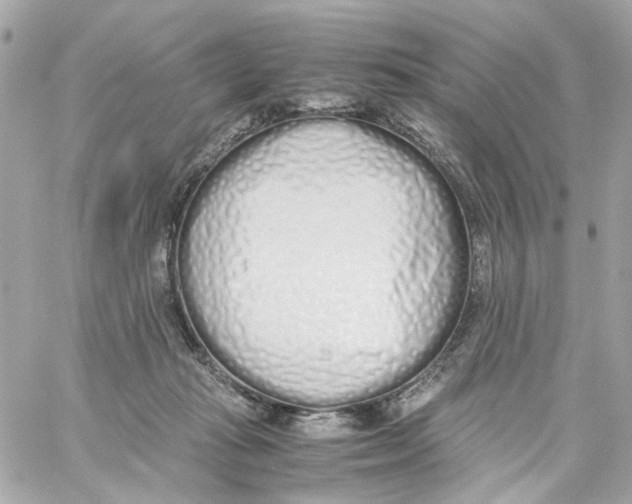 X0000059050269200511041710
