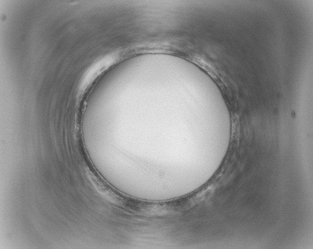X0000059050293200511041709