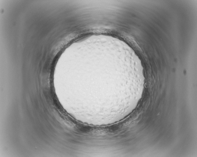X0000059050299200511041709
