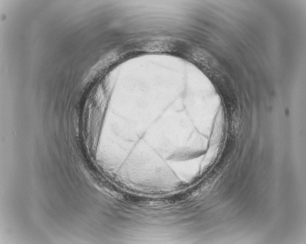 X0000059050303200511041709