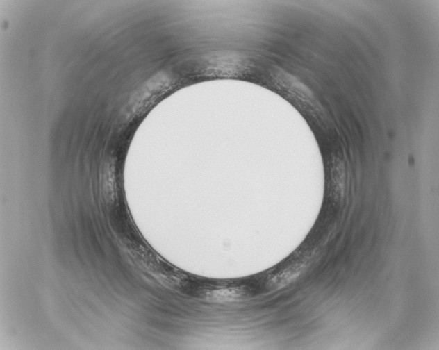 X0000059050312200511041709