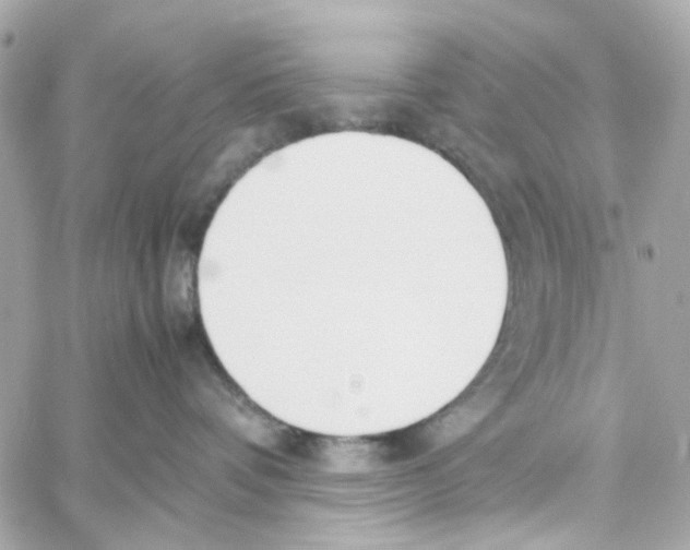 X0000059050336200511041709