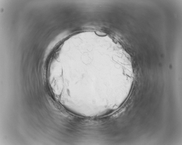 X0000059050343200511041708