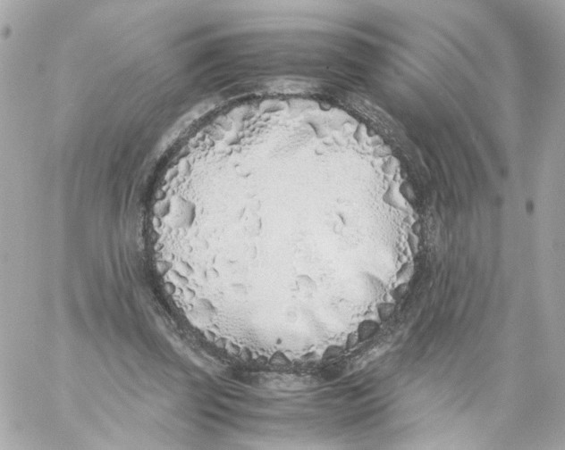 X0000059050347200511041708