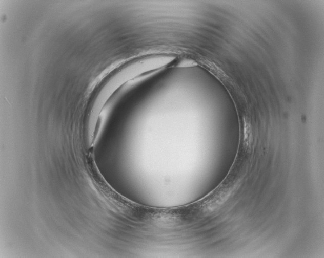 X0000059050348200511041708