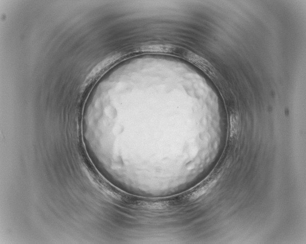 X0000059050349200511041708