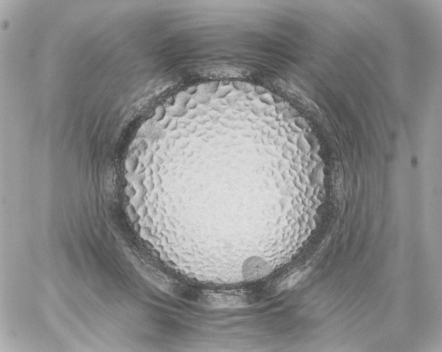 X0000059050359200511041708