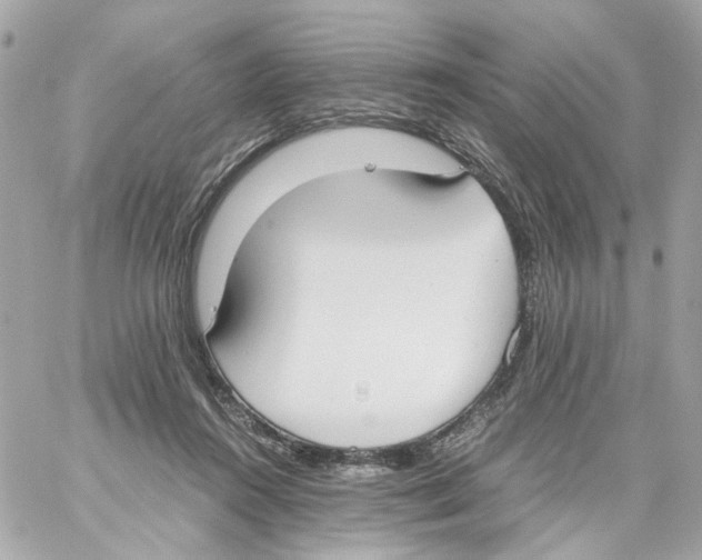 X0000059050360200511041708