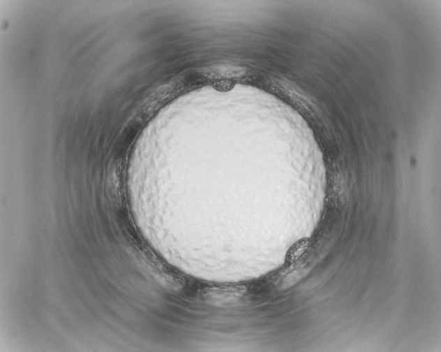 X0000059050373200511041709