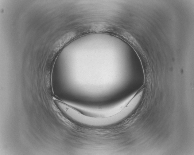 X0000059050393200511041708