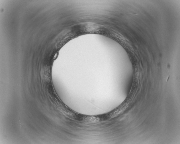 X0000059050421200511041707