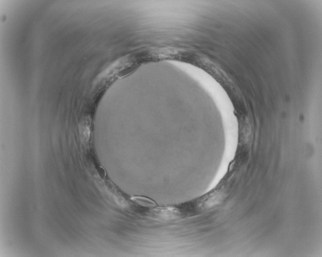 X0000059050427200511041707