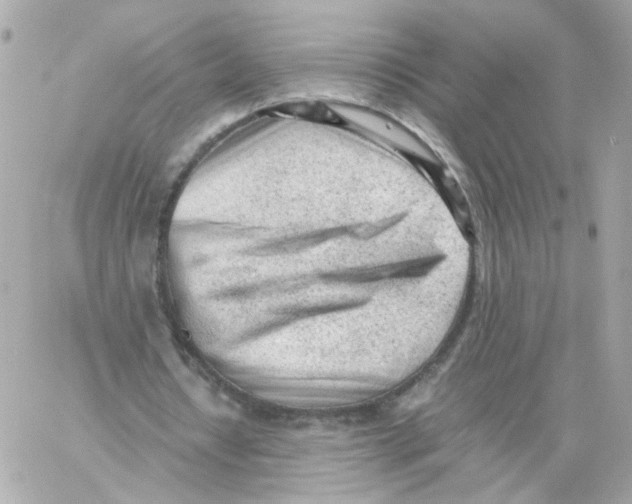 X0000059050434200511041706