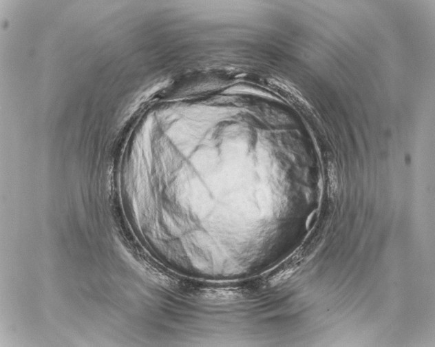 X0000059050451200511041707