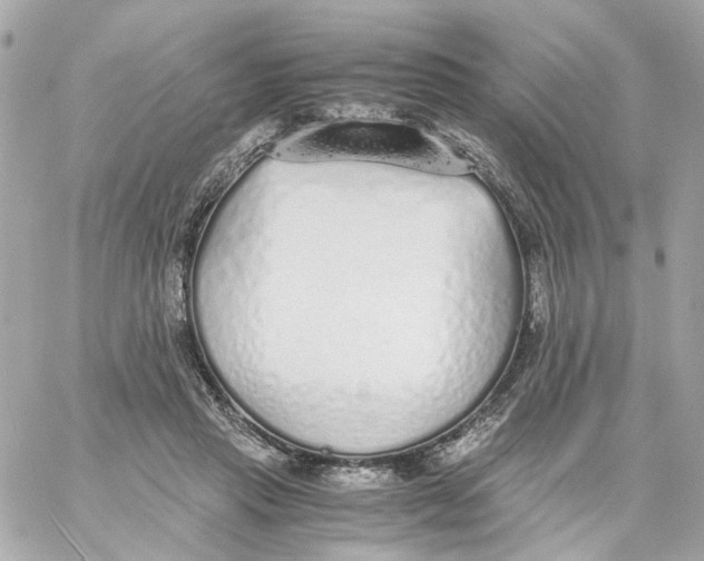 X0000059050453200511041707