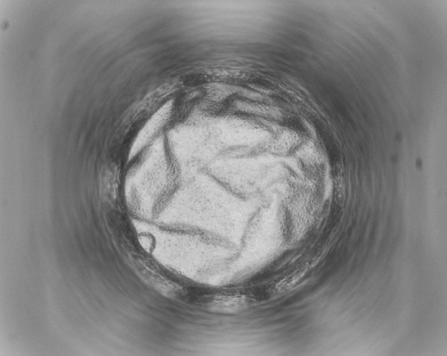 X0000059050458200511041707