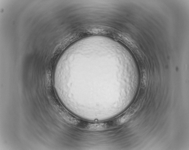 X0000059050461200511041707