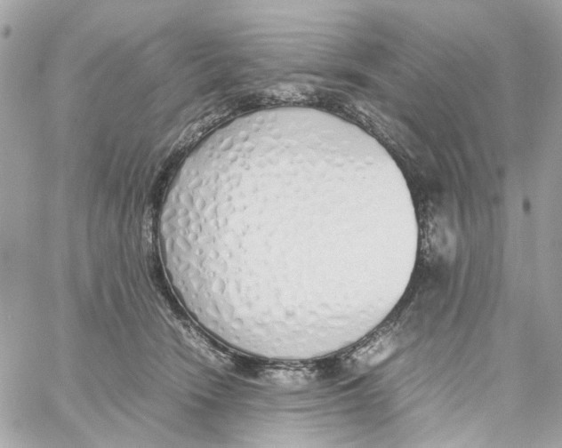 X0000059050466200511041707