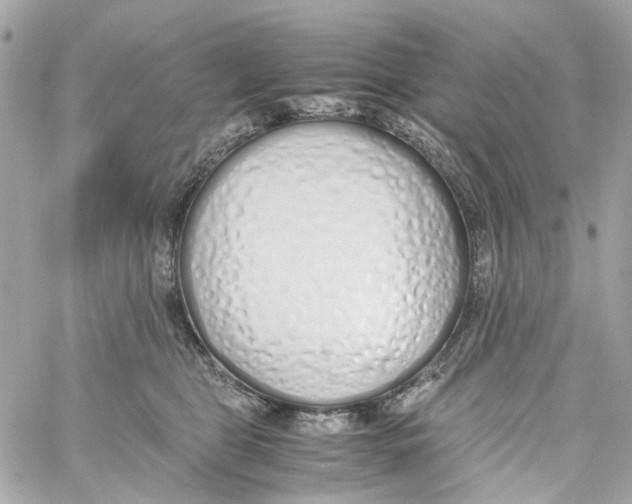 X0000059050469200511041707