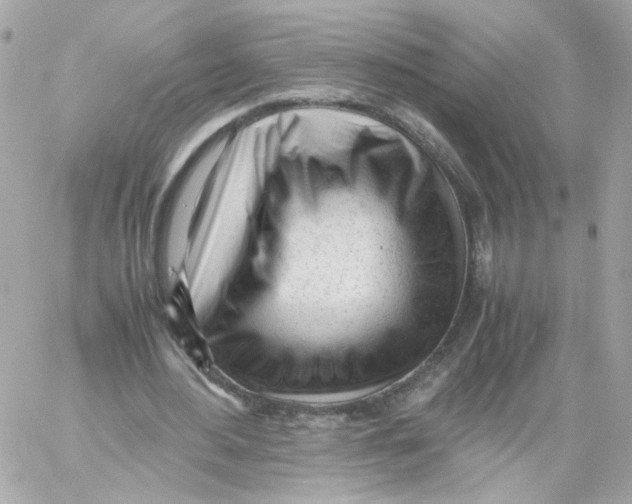 X0000059050484200511041706