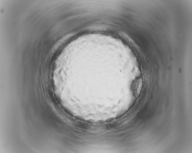 X0000059050487200511041706