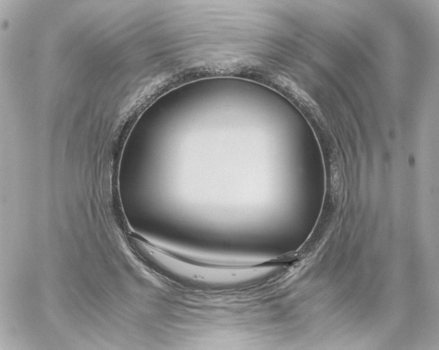 X0000059050493200511041706