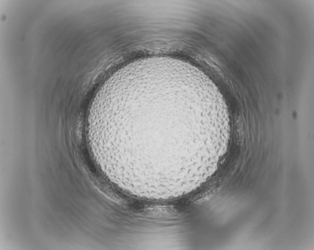 X0000059050499200511041706