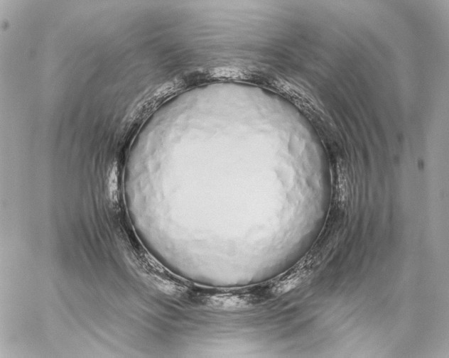 X0000059050502200511041706