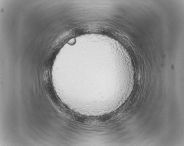 X0000059050503200511041706