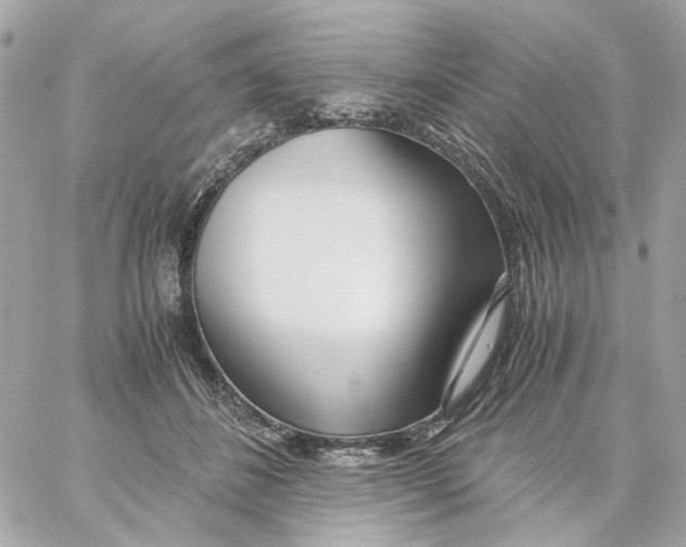 X0000059050508200511041706