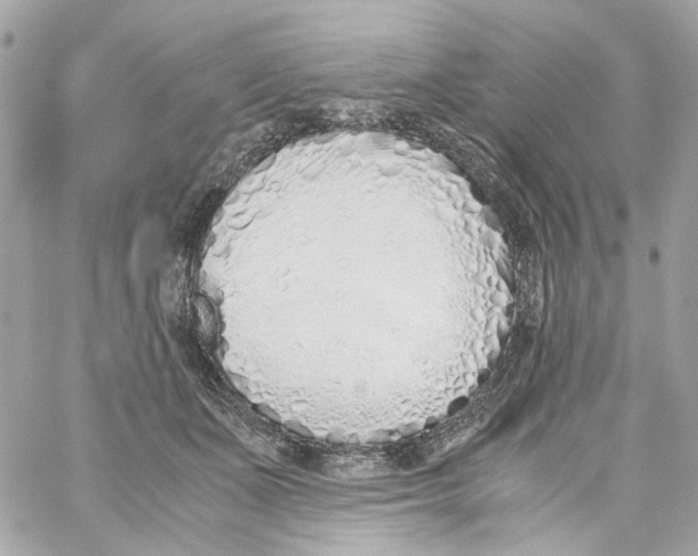 X0000059050511200511041706