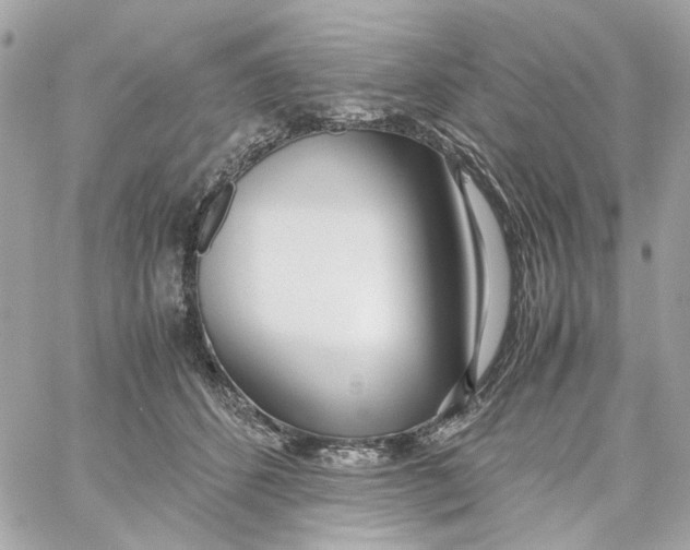 X0000059050512200511041706