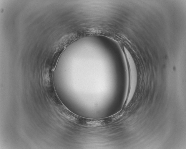 X0000059050516200511041706