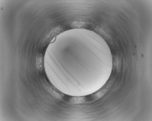 X0000059050526200511041706