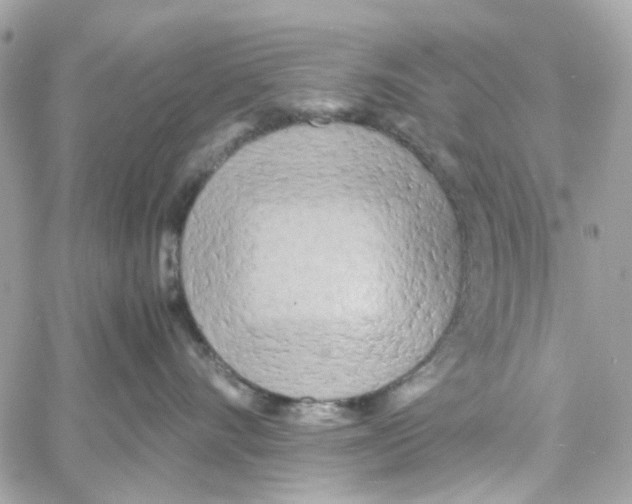 X0000059050528200511041706