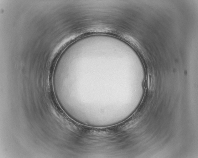 X0000059050531200511041705