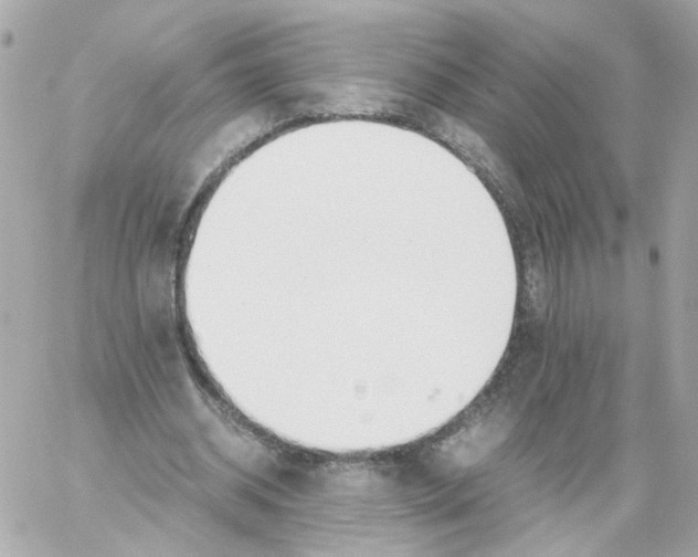 X0000059050534200511041705