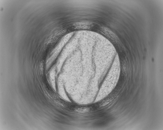 X0000059050551200511041705
