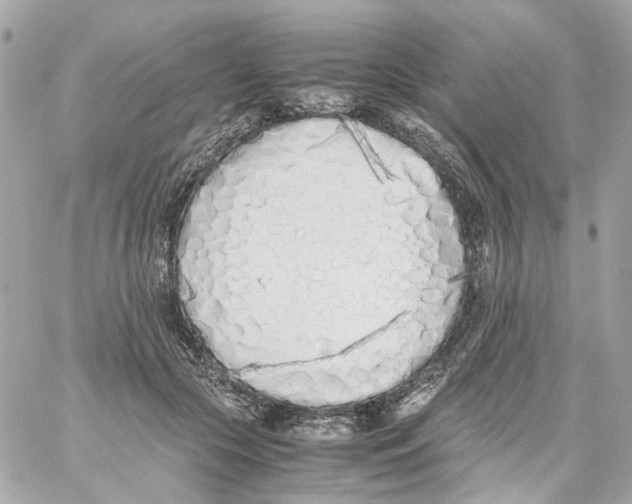 X0000059050553200511041705