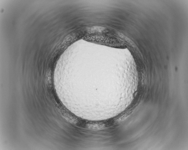 X0000059050561200511041705