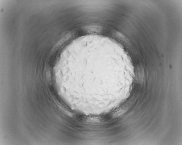 X0000059050573200511041705