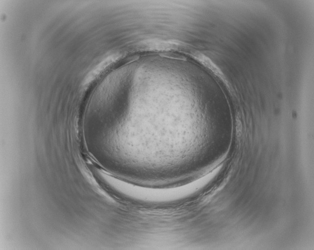 X0000059050581200511041705