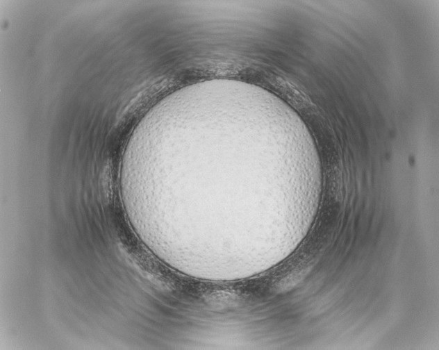 X0000059050594200511041704
