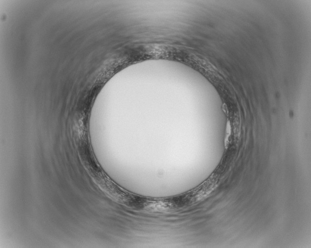 X0000059050611200511041704
