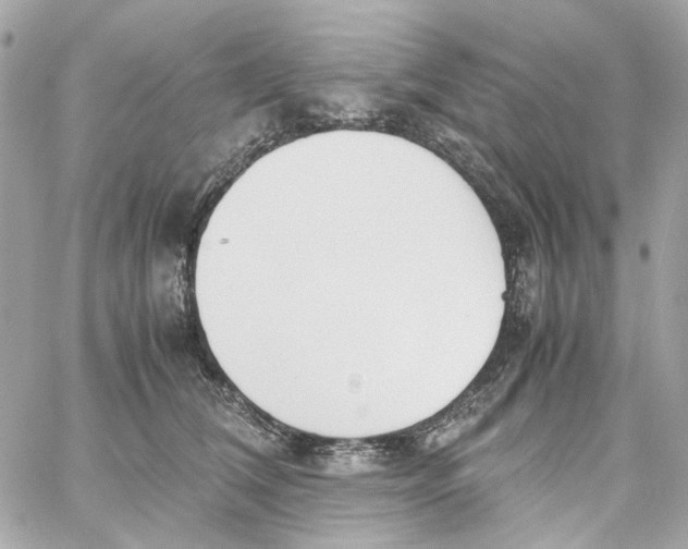 X0000059050612200511041704