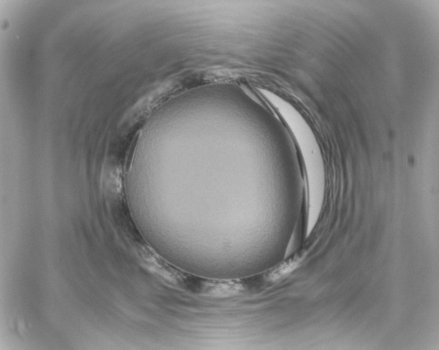 X0000059050621200511041704